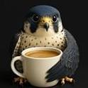 CoffeeHawks